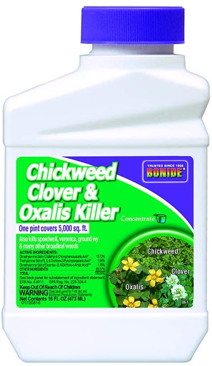 Top 10 Best Weed Killer Reviews (User's Guide 2024) - Green Poison