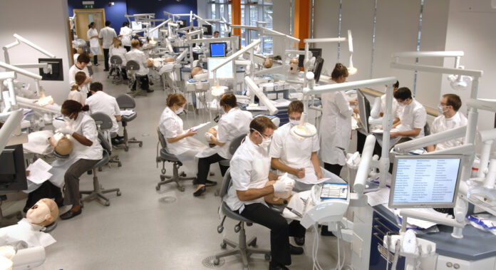 Dental Schools