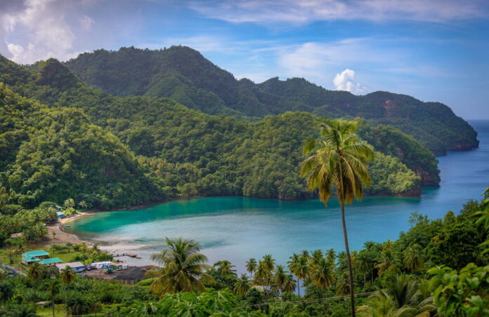 Wilderness of the Islands of caribbean
