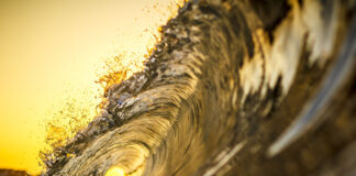 Riding the Golden Wave – Eco Style