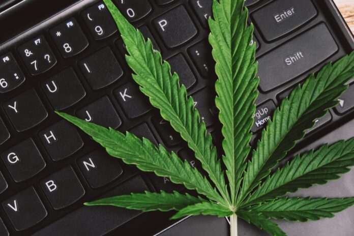 Online Marijuana Platforms Facilitate Access