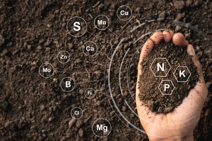 Soil and Nutrients