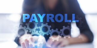 A Comprehensive Overview of Payroll and HR Service Providers