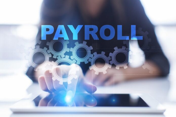 A Comprehensive Overview Of Payroll And Hr Service Providers Green Poison