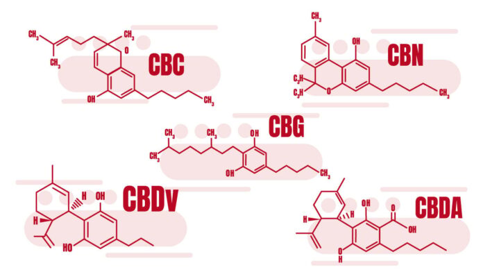 Comparing CBG to Other Cannabinoids