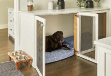 Creating a Safe and Healthy Haven for Your Furry Friend with Dog Crate