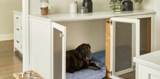 Creating a Safe and Healthy Haven for Your Furry Friend with Dog Crate