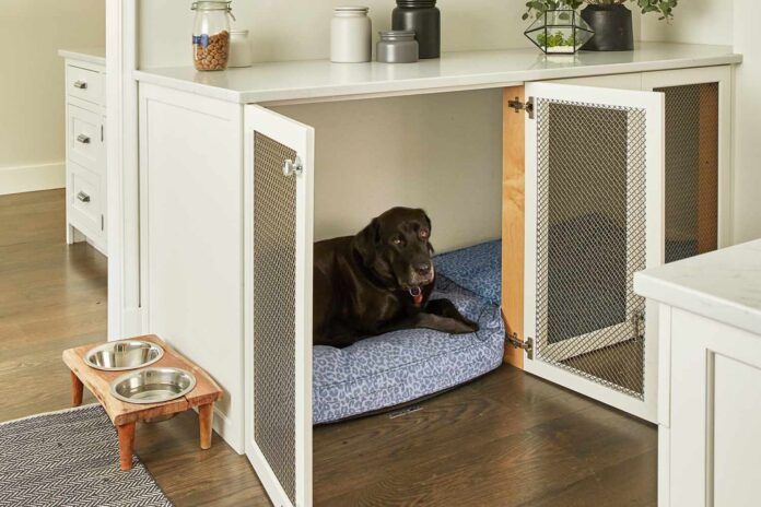 Creating a Safe and Healthy Haven for Your Furry Friend with Dog Crate ...