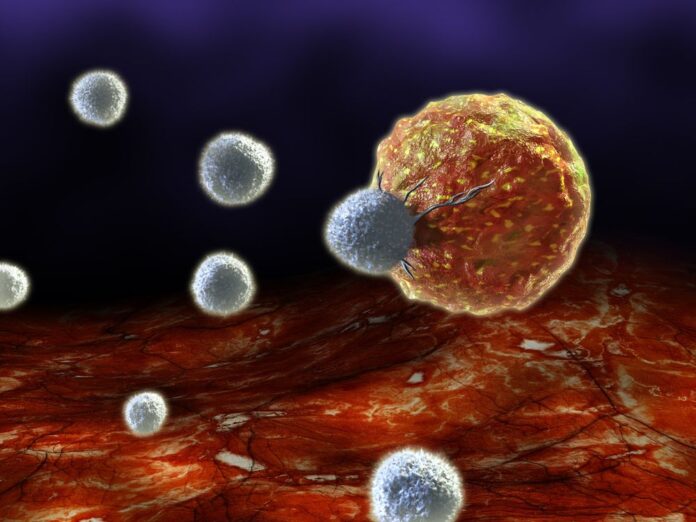 Immune System Dysfunction